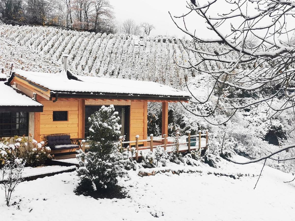 Bed and Breakfast L'Etang De La Tourne Les Marches Zewnętrze zdjęcie
